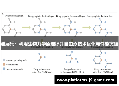 潘展乐：利用生物力学原理提升自由泳技术优化与性能突破