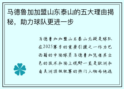 马德鲁加加盟山东泰山的五大理由揭秘,助力球队更进一步 马德鲁加加盟山东泰山的五大理由揭秘,助力球队更进一步
